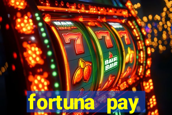 fortuna pay consultoria financeira ltda